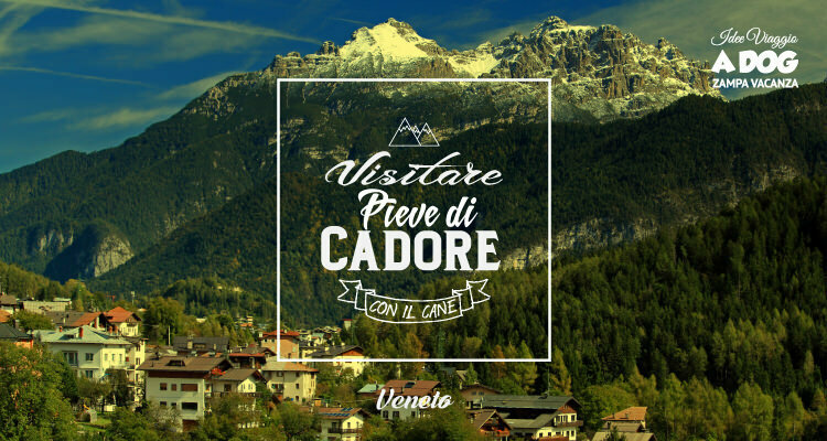 Visitare Pieve di Cadore con il cane