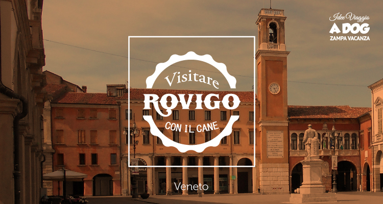 Visitare Rovigo con il cane