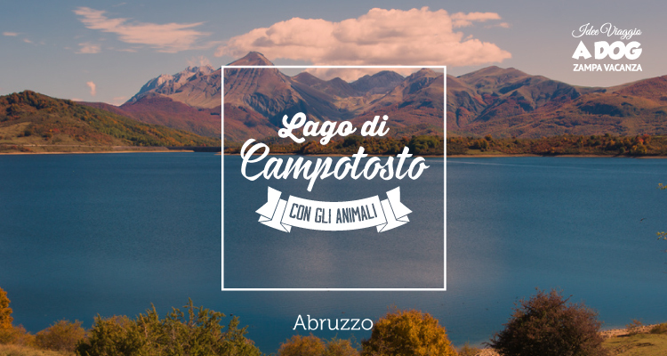 Visitare il lago di Campotosto con gli animali