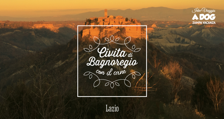 Civita di Bagnoregio con il cane