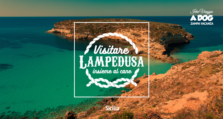 In vacanza a Lampedusa con il cane