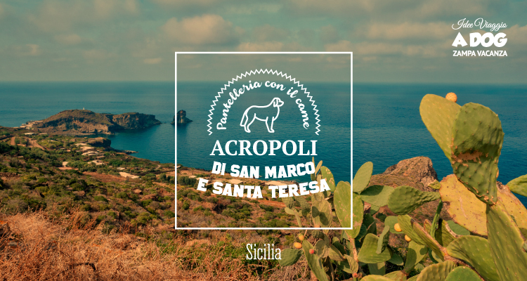 Acropoli di Pantelleria con il cane
