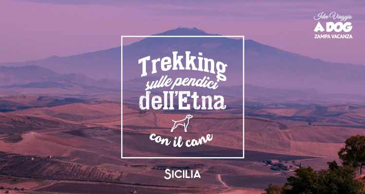 Trekking sulle pendici dell'Etna con il cane