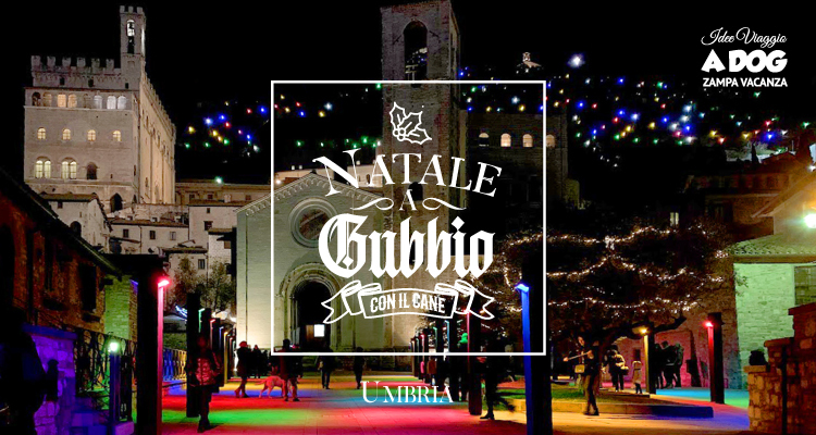 Natale a Gubbio con il cane