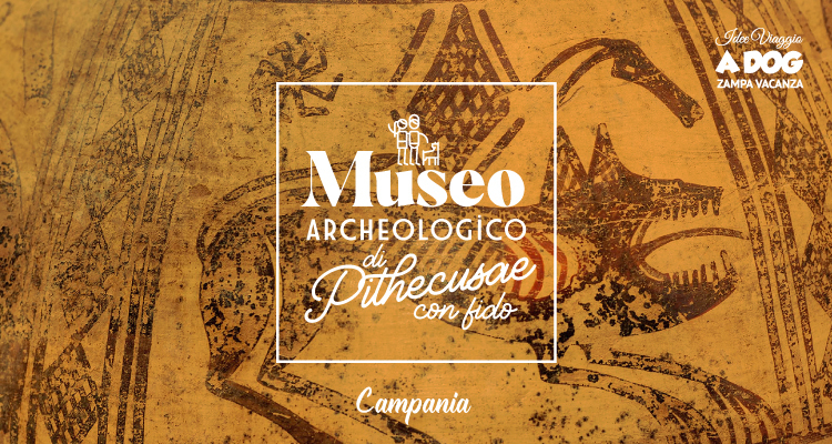 Museo Archeologico di Pithecusae con il cane