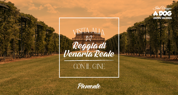 Reggia di Venaria Reale con il cane