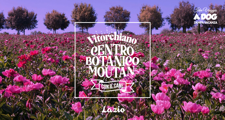 Vitorchiano - Centro Botanico Moutan con il cane