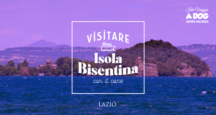 Isola Bisentina con il cane