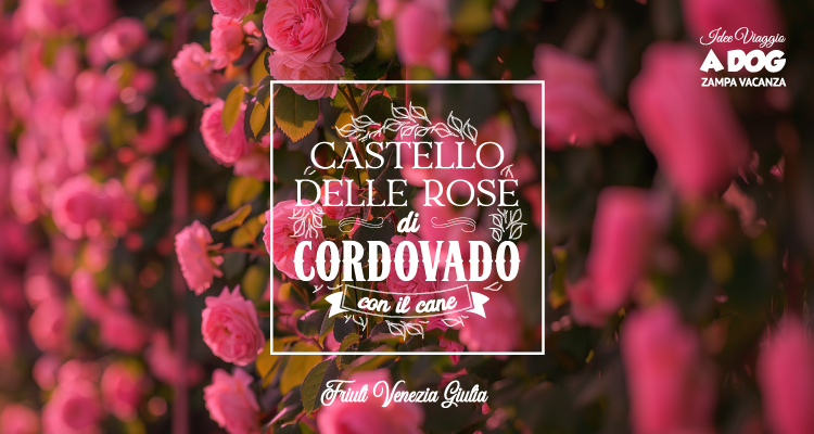 Castello delle Rose di Cordovado con il cane