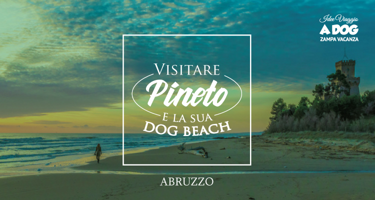 Vacanze in Abruzzo con il cane – visitare Pineto e la sua dog beach