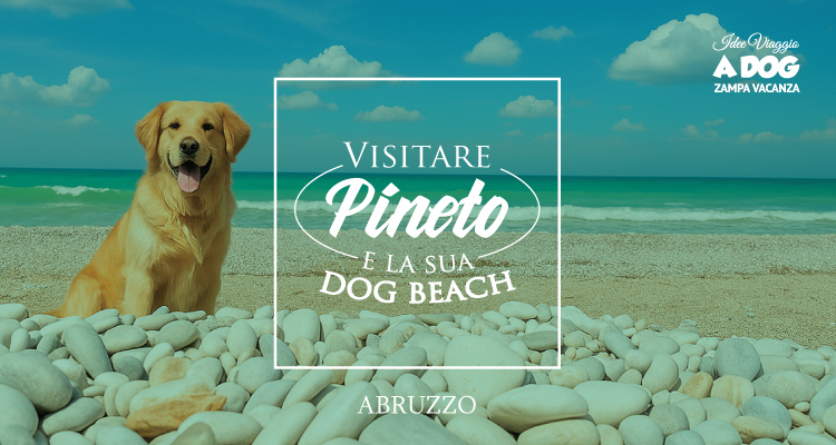 Vacanze in Abruzzo con il cane – visitare Pineto e la sua dog beach