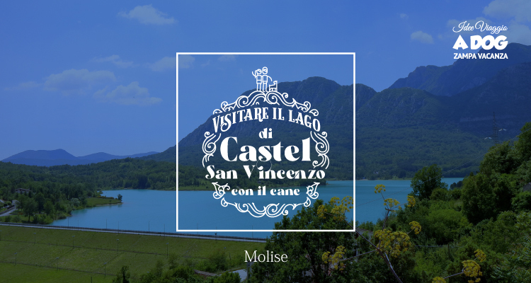 Con il cane al Lago di Castel San Vincenzo