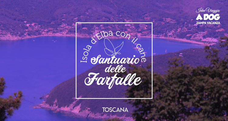 Santuario delle Farfalle all’Isola d’Elba con il cane