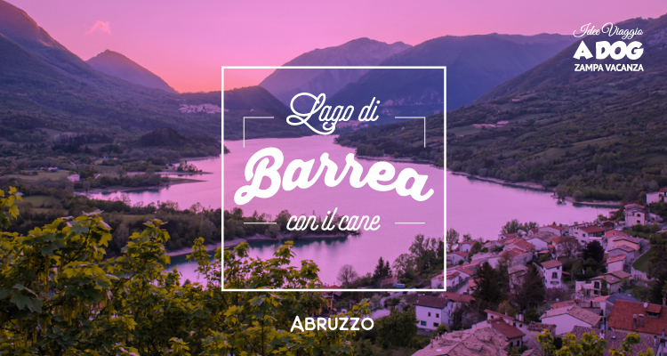 Lago di Barrea con il cane: guida pet friendly nel cuore del Parco Nazionale d’Abruzzo