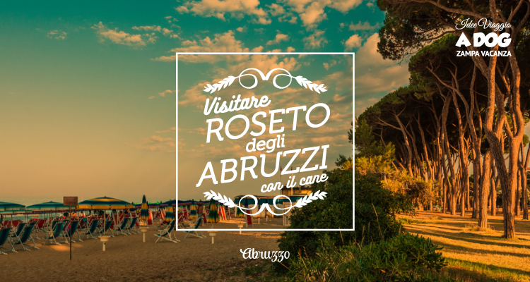 Esplora Roseto degli Abruzzi insieme al tuo amico a quattro zampe