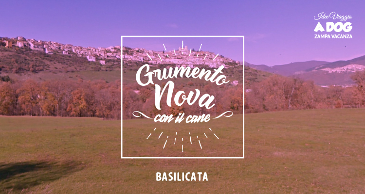 Grumento Nova pet-friendly: il borgo perfetto da scoprire col tuo cane