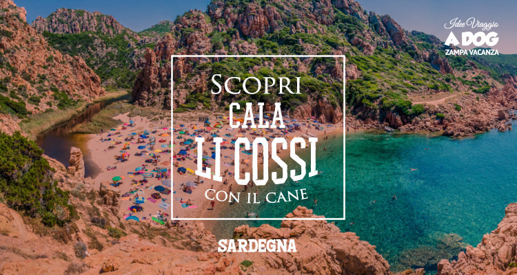 Cala Li Cossi con il tuo cane: emozioni tra scogliere rosa e mare da sogno