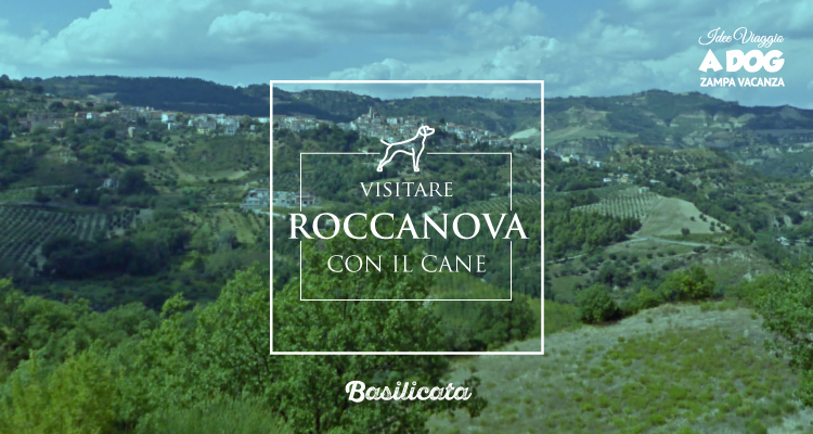Roccanova e il vino da vivere: viaggio autentico con il tuo cane tra gusto e natura