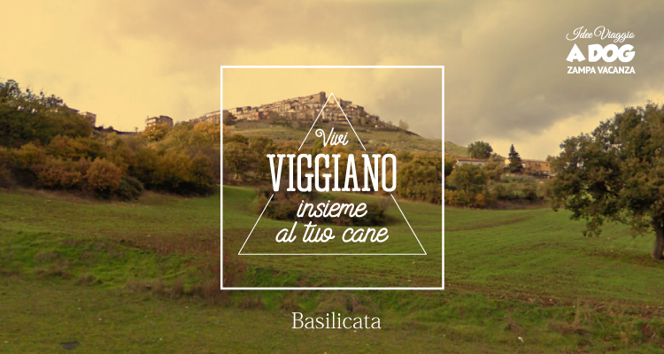 Viggiano a 6 zampe: tra arpe e panorami da raccontare