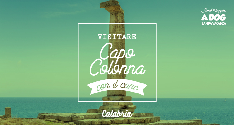 Scoprire Capo Colonna insieme al cane