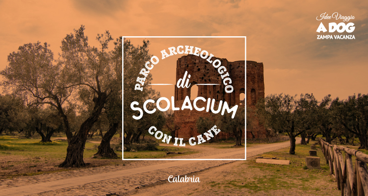 Visitare Scolacium con il cane: relax, rovine romane e natura in Calabria