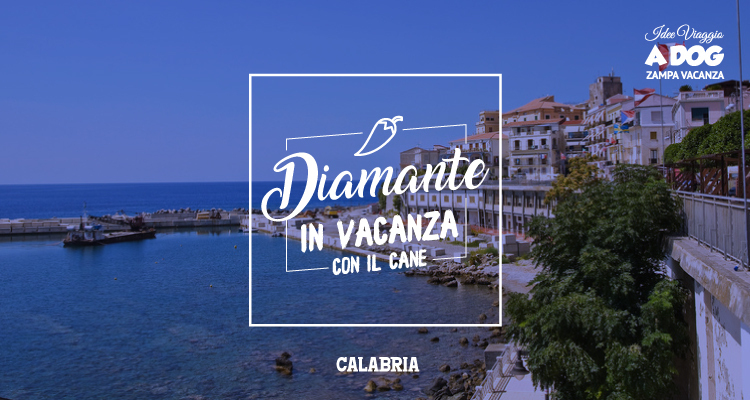 Diamante pet-friendly: vivi la Calabria più autentica insieme al tuo cane