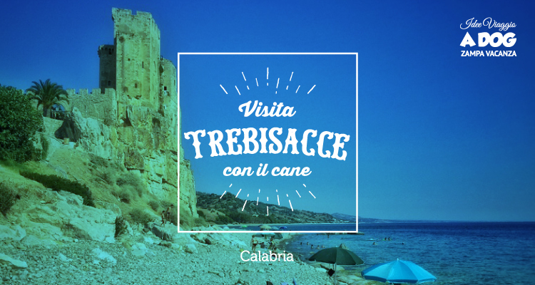 Trebisacce a quattro zampe tra mare, natura e relax con il tuo cane