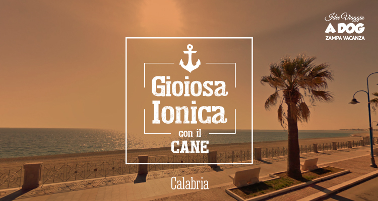 Gioiosa Ionica: la meta perfetta per una vacanza in Calabria con il cane