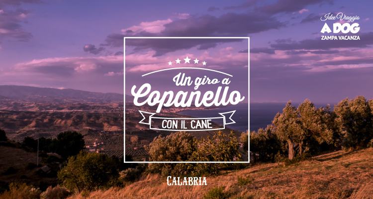 Copanello pet-friendly: mare, natura e cultura con il tuo cane