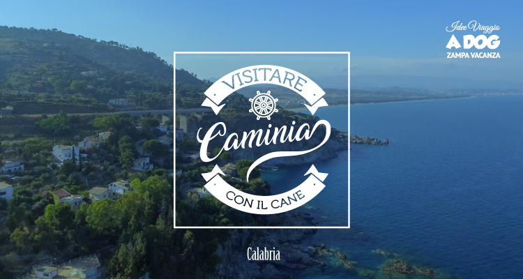Vivere Caminia con il tuo amico a 4 zampe