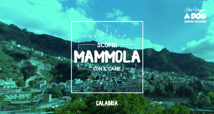 Mammola con il cane