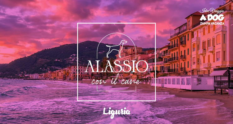 Alassio con il cane