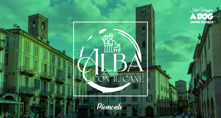 A spasso per Alba con il cane