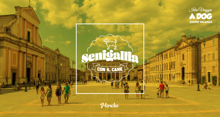 Visitare Senigallia con il cane