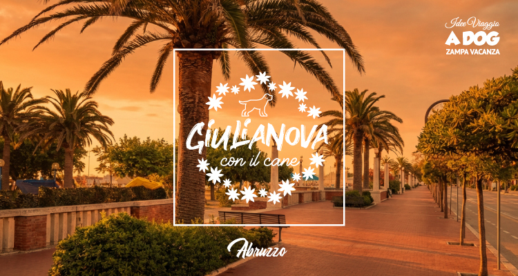 A spasso per Giulianova con il cane