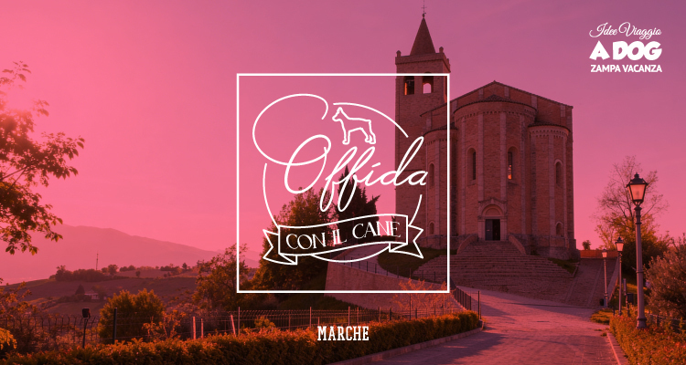 Offida con il cane