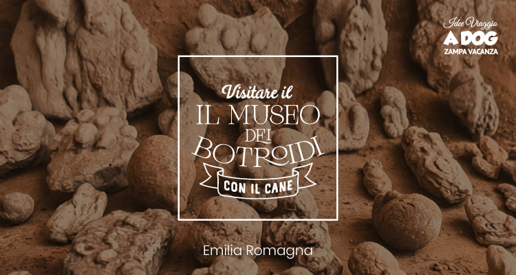 Museo dei Botroidi con il cane