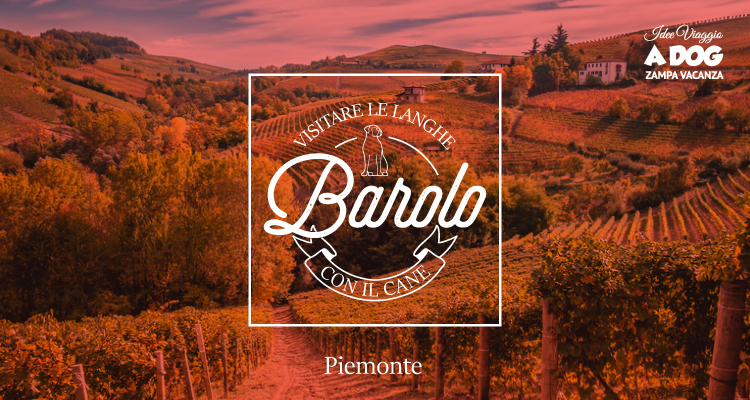 Visita Barolo con il cane