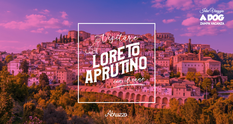 Visitare Loreto Aprutino con il cane