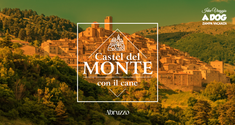 Visitare Castel del Monte con il cane