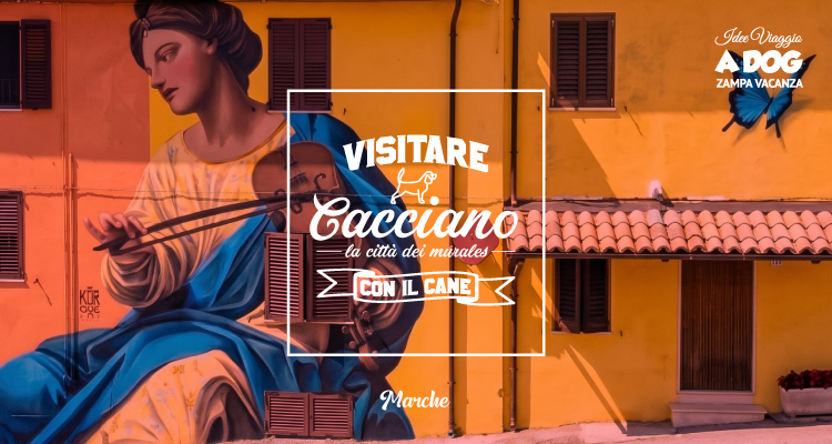 Un giro a Cacciano con il cane