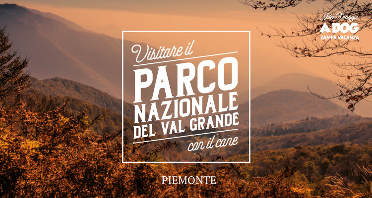 Parco Nazionale del Val Grande con il cane