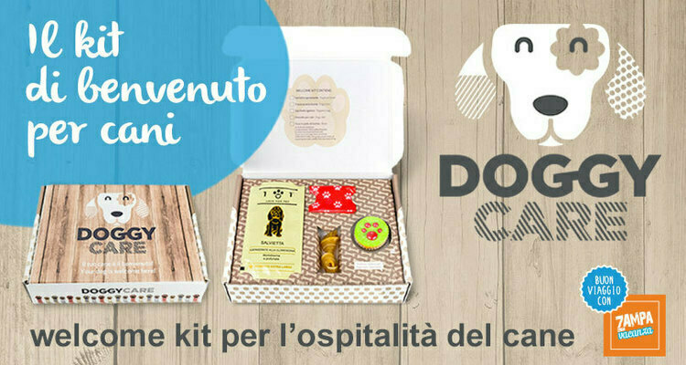 Doggy care deals