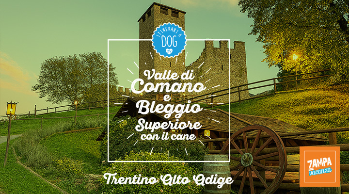 Valle di Comano e Bleggio Superiore con il cane
