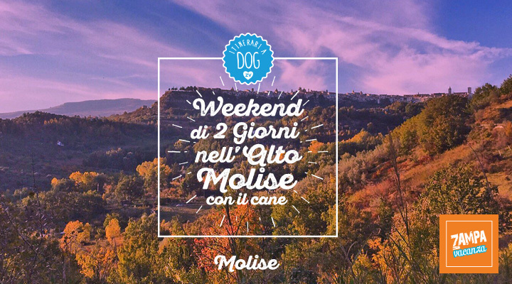 Weekend di 2 giorni nell’Alto Molise con il cane