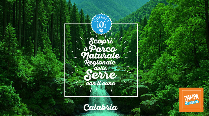 Parco Naturale Regionale delle Serre con il cane