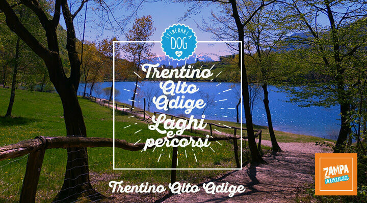 I laghi del Trentino Alto Adige 