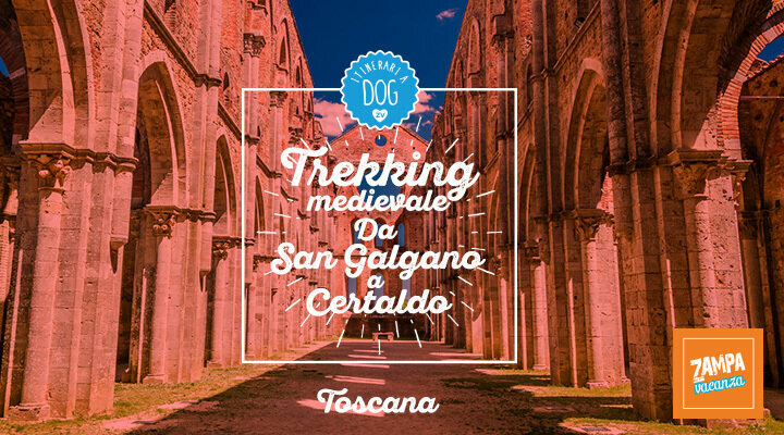 Trekking medievale con il cane in Toscana