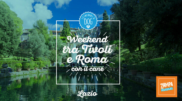 Weekend tra Tivoli e Roma con il cane