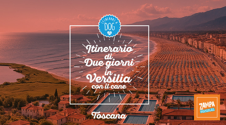 Itinerario di due giorni in Versilia con il cane